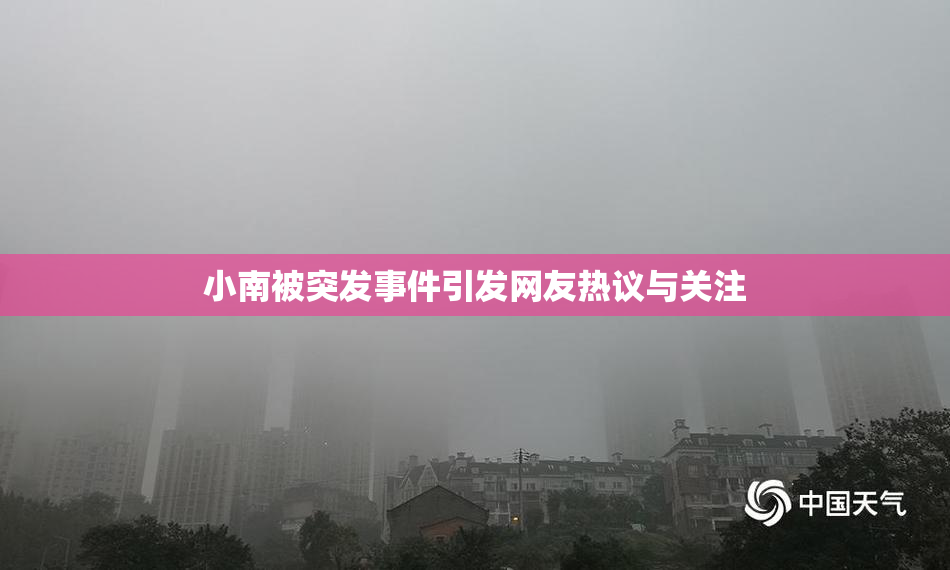 小南被突发事件引发网友热议与关注