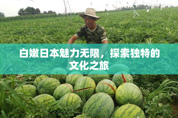 白嫩日本魅力无限，探索独特的文化之旅