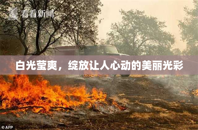 白光莹爽，绽放让人心动的美丽光彩