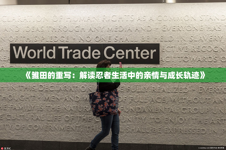 《雏田的重写：解读忍者生活中的亲情与成长轨迹》
