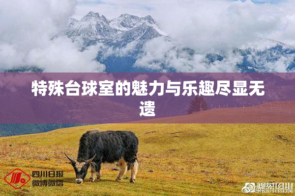 特殊台球室的魅力与乐趣尽显无遗