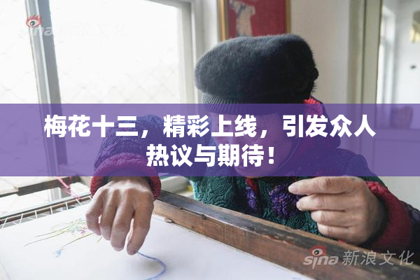 梅花十三，精彩上线，引发众人热议与期待！