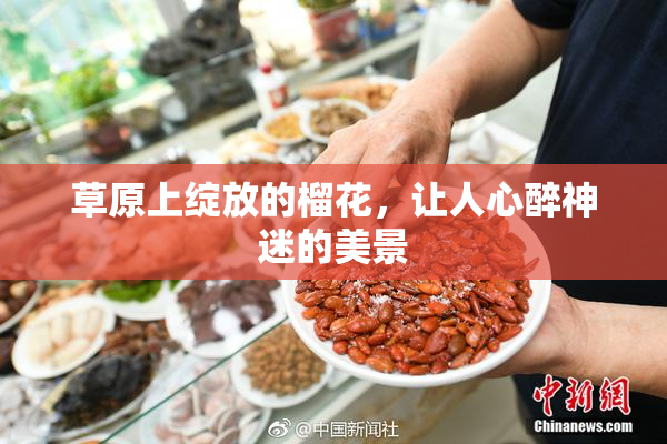 草原上绽放的榴花，让人心醉神迷的美景