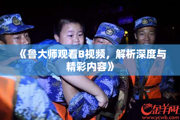 《鲁大师观看B视频，解析深度与精彩内容》