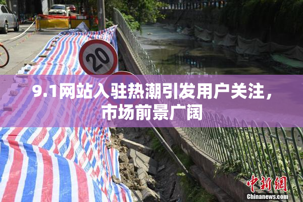 9.1网站入驻热潮引发用户关注，市场前景广阔