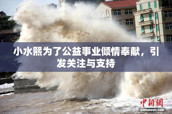 小水熙为了公益事业倾情奉献，引发关注与支持