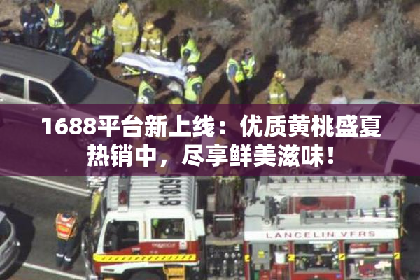 1688平台新上线：优质黄桃盛夏热销中，尽享鲜美滋味！