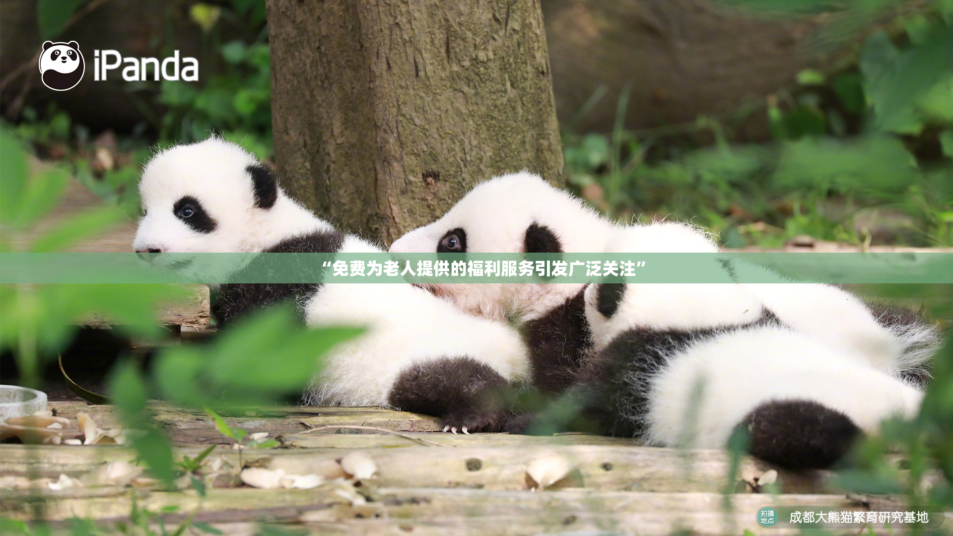 “免费为老人提供的福利服务引发广泛关注”