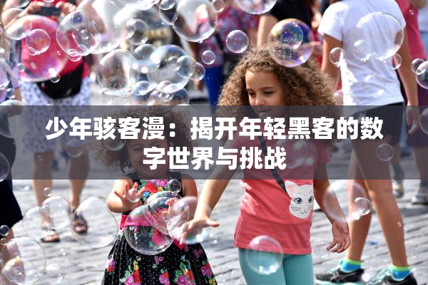 少年骇客漫：揭开年轻黑客的数字世界与挑战