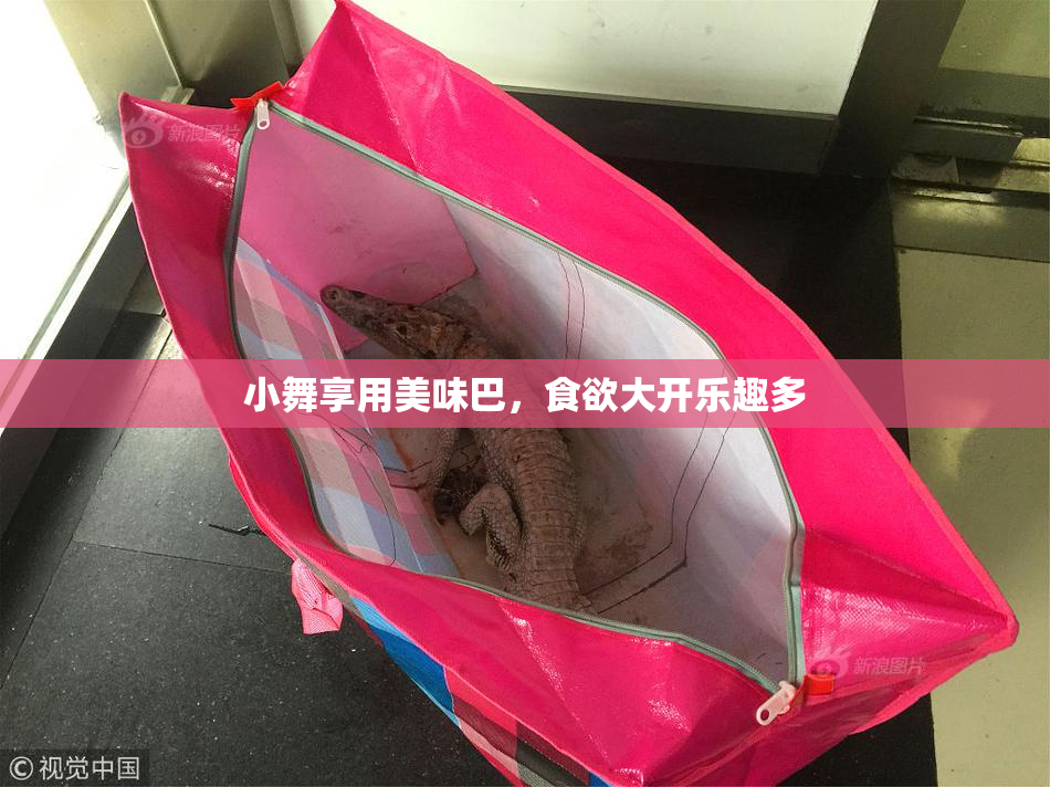 小舞享用美味巴，食欲大开乐趣多