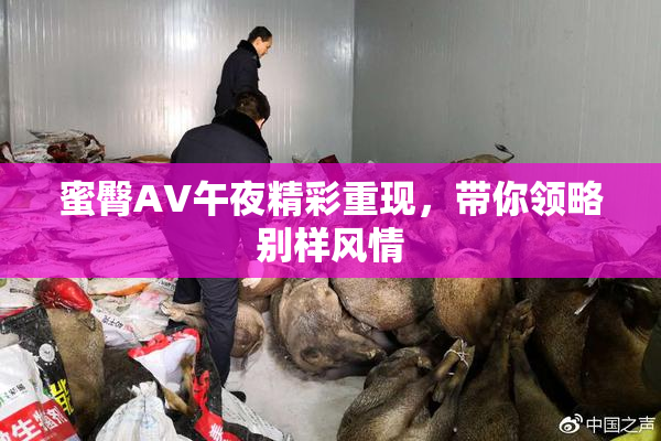 蜜臀AV午夜精彩重现，带你领略别样风情