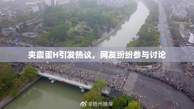 夹震蛋H引发热议，网友纷纷参与讨论