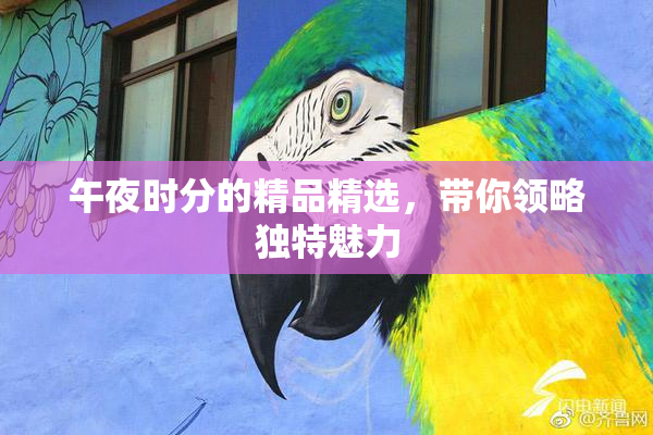 午夜时分的精品精选，带你领略独特魅力