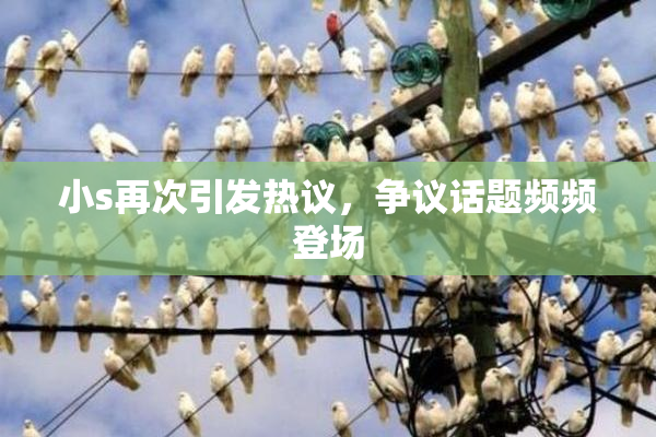 小s再次引发热议，争议话题频频登场