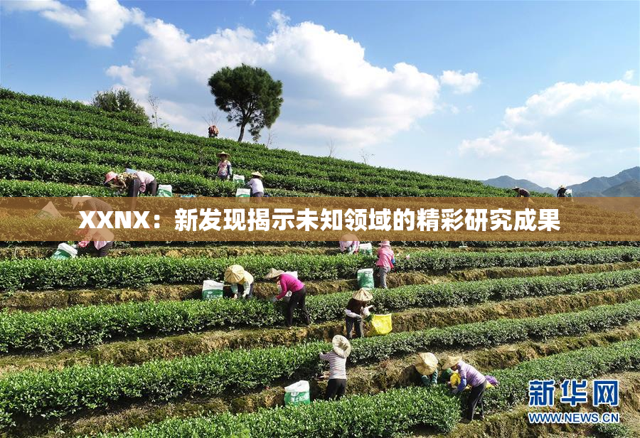 XXNX：新发现揭示未知领域的精彩研究成果