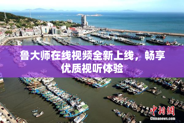 鲁大师在线视频全新上线，畅享优质视听体验