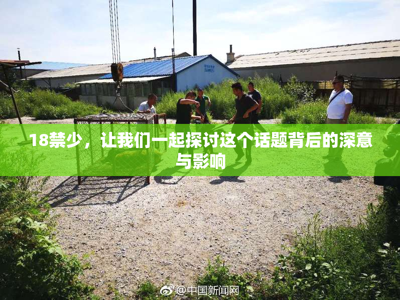 18禁少，让我们一起探讨这个话题背后的深意与影响