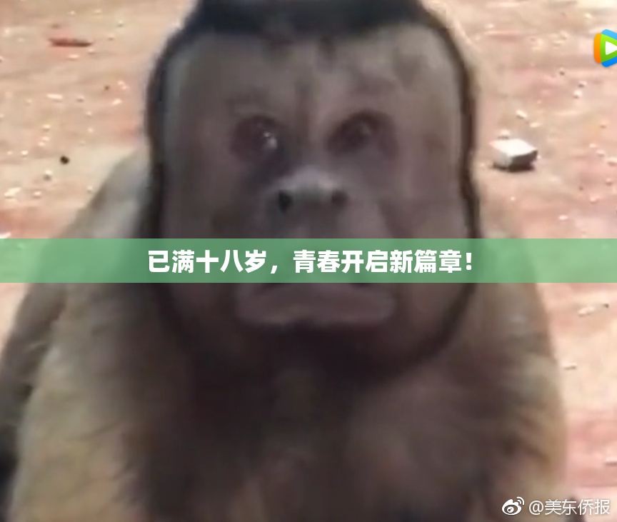 已满十八岁，青春开启新篇章！