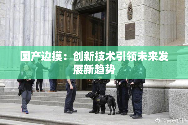 国产边摸：创新技术引领未来发展新趋势