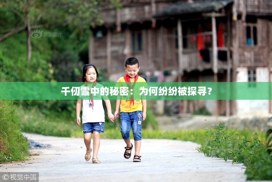 千仞雪中的秘密：为何纷纷被探寻？