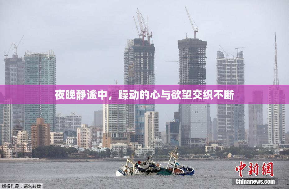 夜晚静谧中，躁动的心与欲望交织不断