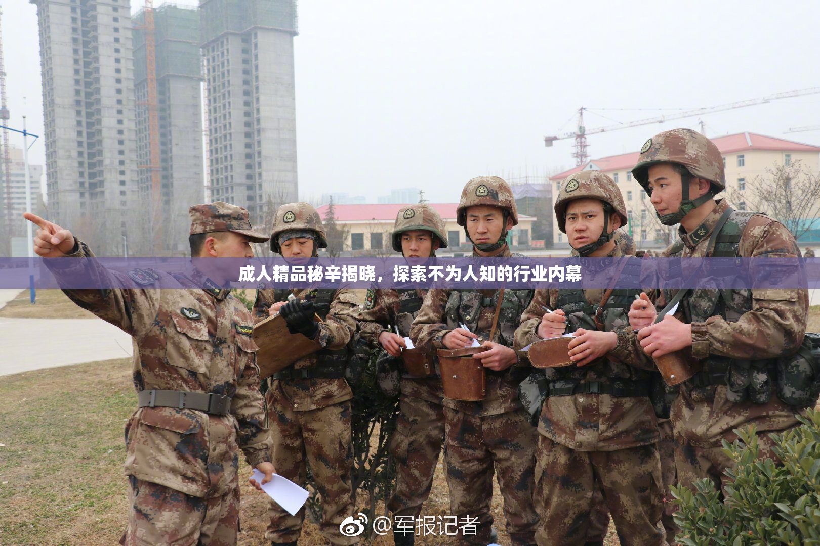 成人精品秘辛揭晓，探索不为人知的行业内幕