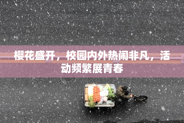 樱花盛开，校园内外热闹非凡，活动频繁展青春