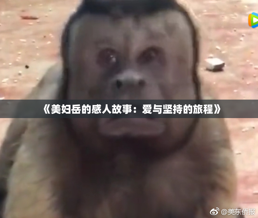 《美妇岳的感人故事：爱与坚持的旅程》