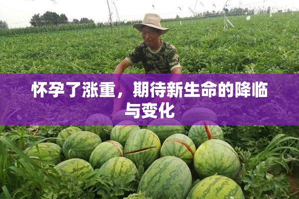 怀孕了涨重，期待新生命的降临与变化
