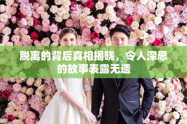 脱离的背后真相揭晓，令人深思的故事表露无遗