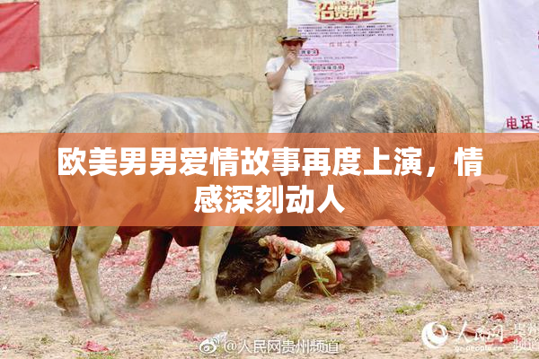 欧美男男爱情故事再度上演，情感深刻动人