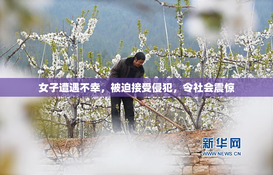 女子遭遇不幸，被迫接受侵犯，令社会震惊