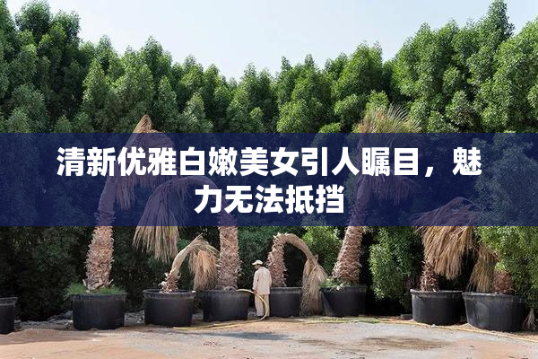 清新优雅白嫩美女引人瞩目，魅力无法抵挡