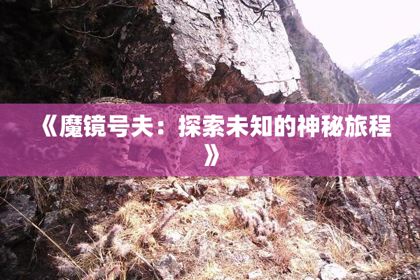 《魔镜号夫：探索未知的神秘旅程》
