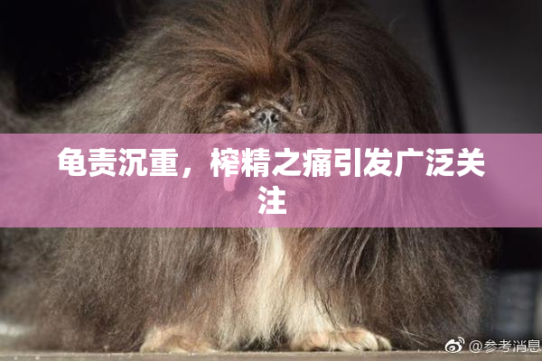 龟责沉重，榨精之痛引发广泛关注