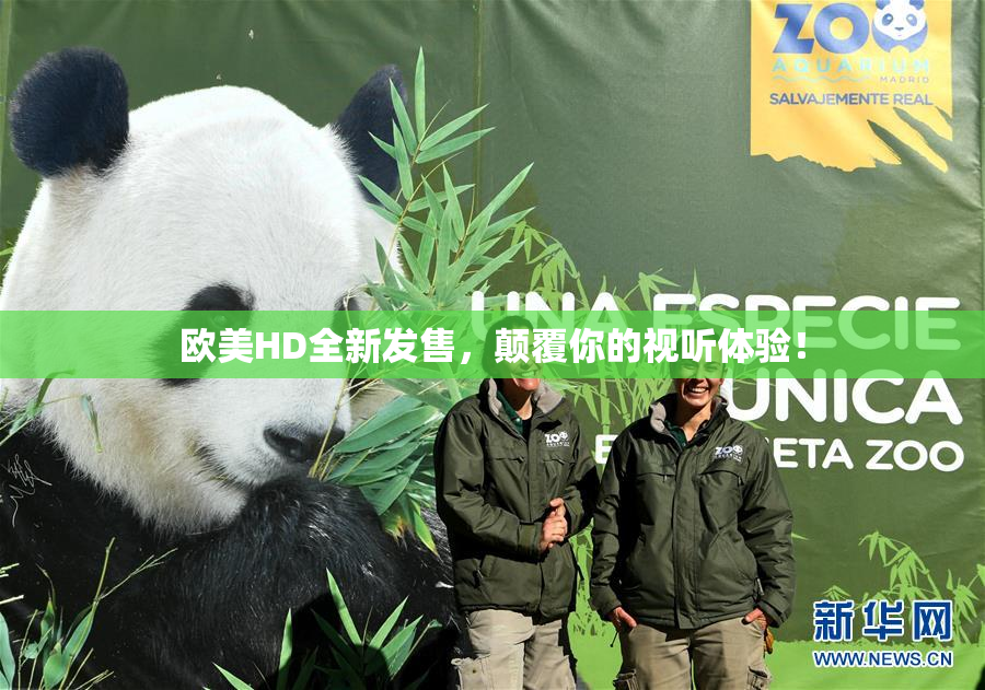 欧美HD全新发售，颠覆你的视听体验！