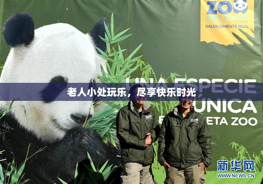 老人小处玩乐，尽享快乐时光