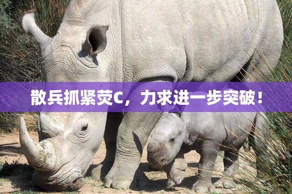 散兵抓紧荧C，力求进一步突破！