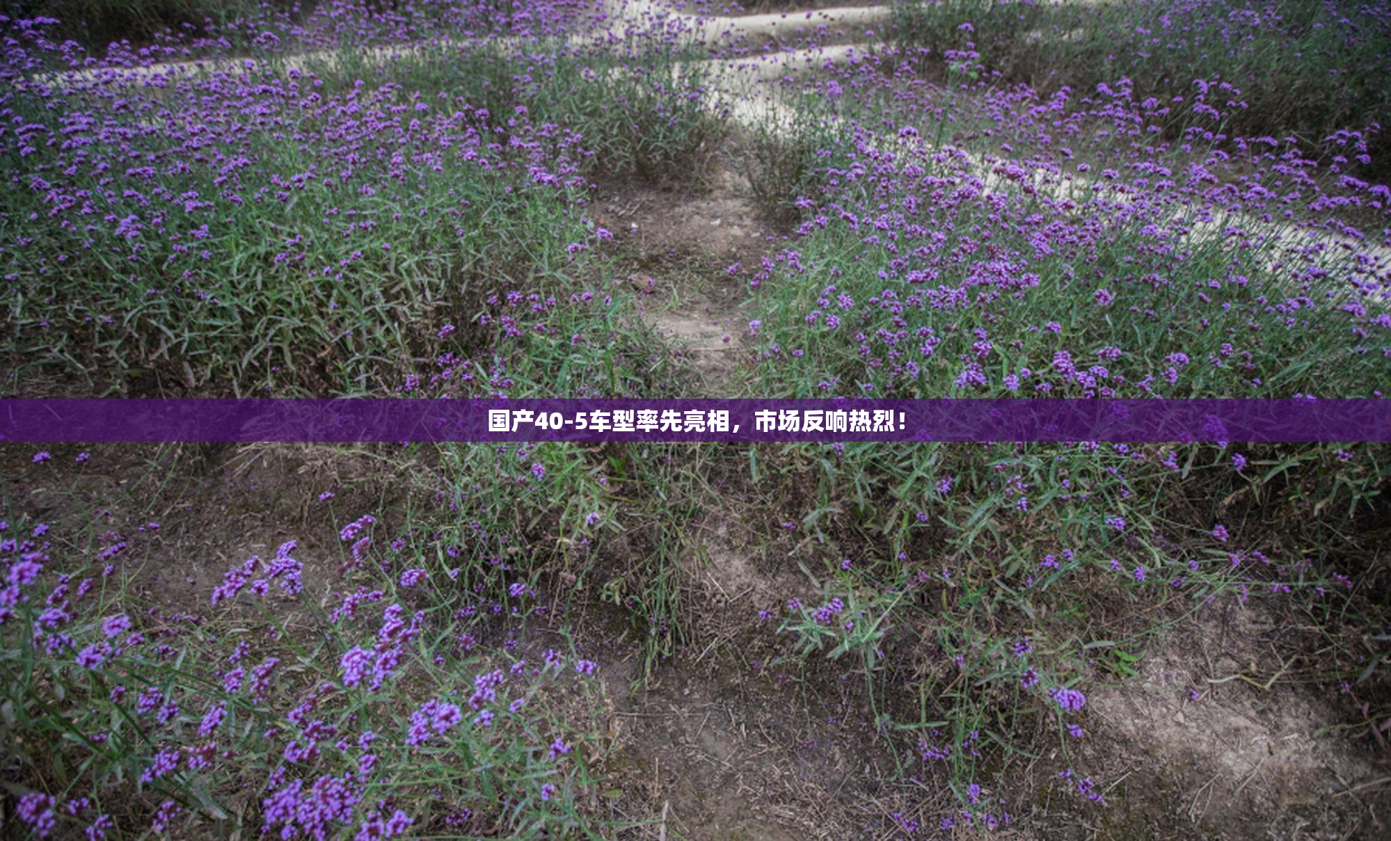 国产40-5车型率先亮相，市场反响热烈！
