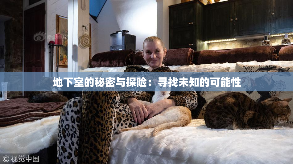 地下室的秘密与探险：寻找未知的可能性