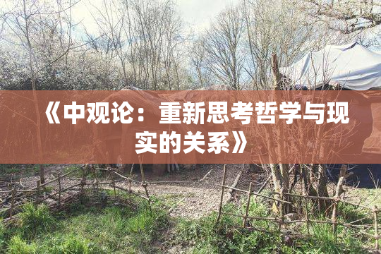 《中观论：重新思考哲学与现实的关系》