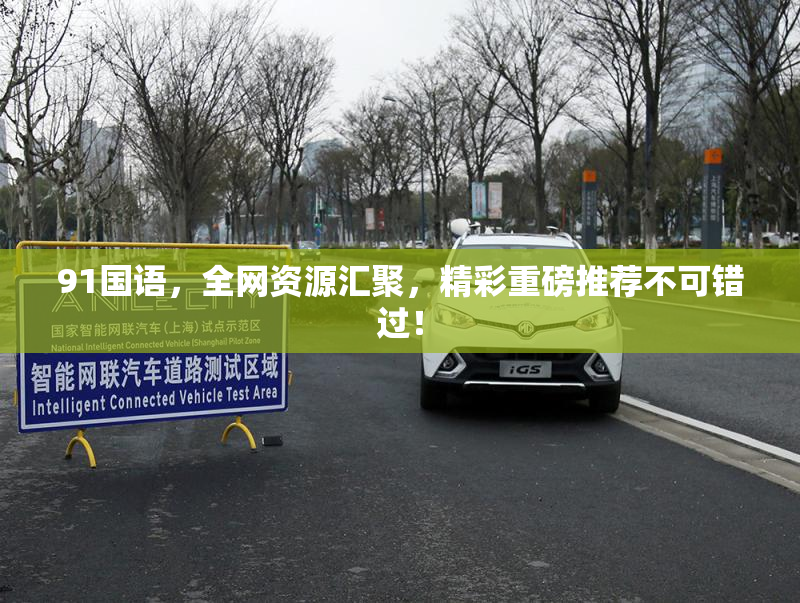 91国语，全网资源汇聚，精彩重磅推荐不可错过！