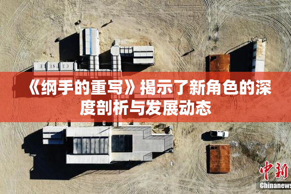 《纲手的重写》揭示了新角色的深度剖析与发展动态