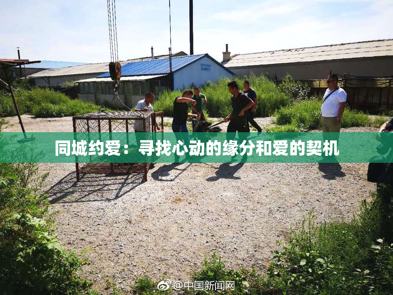 同城约爱：寻找心动的缘分和爱的契机
