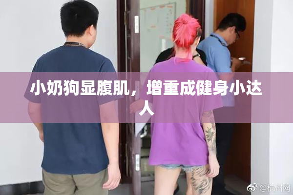 小奶狗显腹肌，增重成健身小达人