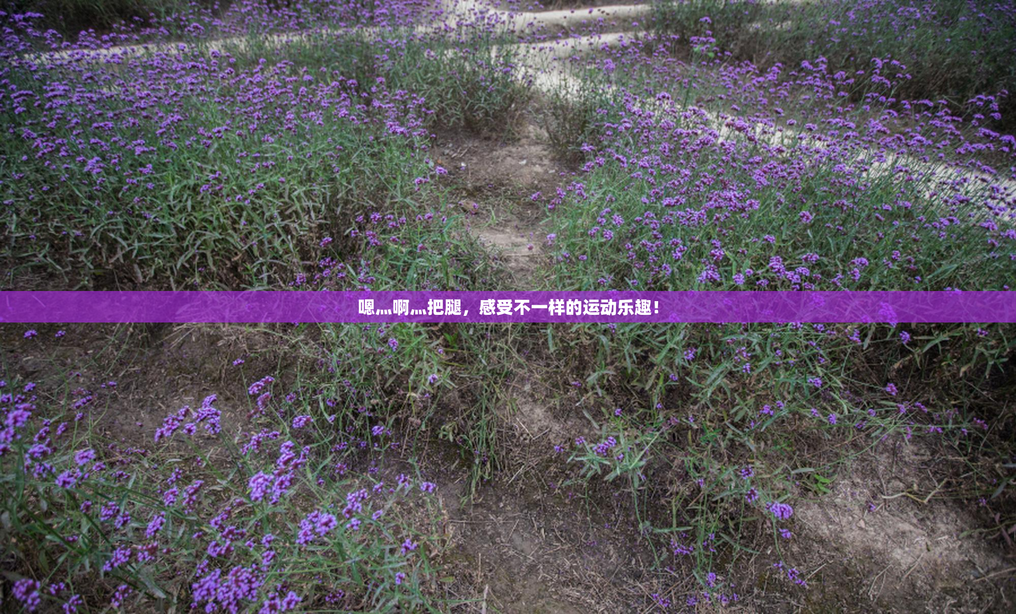 嗯灬啊灬把腿，感受不一样的运动乐趣！