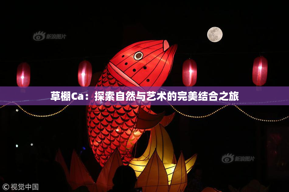 草棚Ca：探索自然与艺术的完美结合之旅