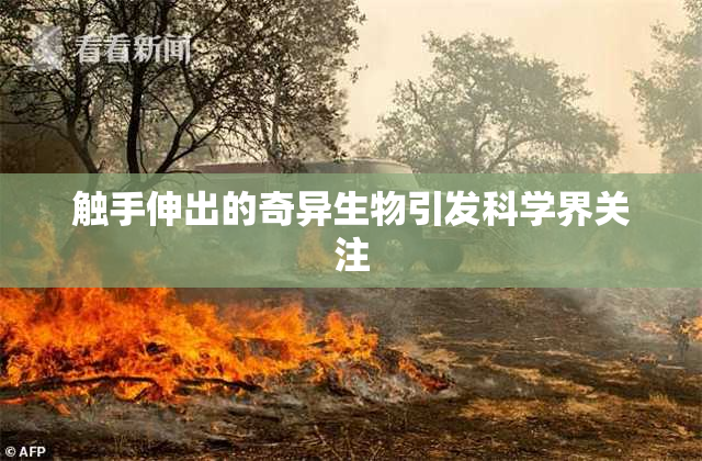 触手伸出的奇异生物引发科学界关注