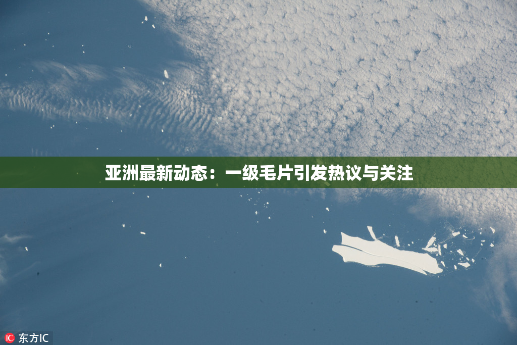 亚洲最新动态：一级毛片引发热议与关注