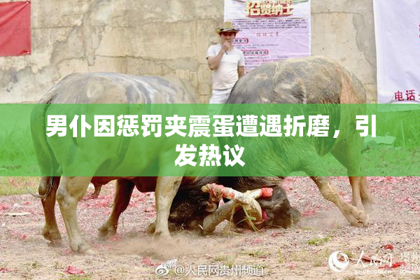 男仆因惩罚夹震蛋遭遇折磨，引发热议
